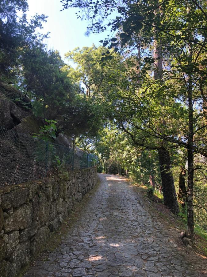 Sobreiro Valley Vieira do Minho Exterior foto